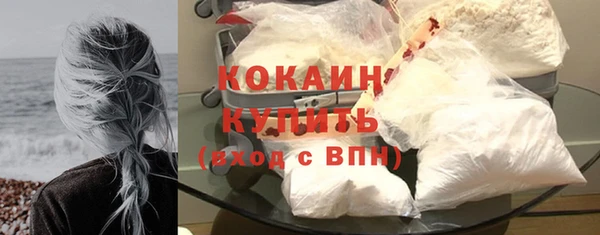 бошки Бронницы
