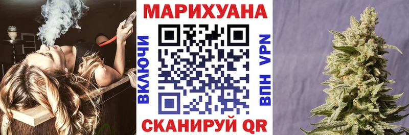 Каннабис OG Kush Новосокольники